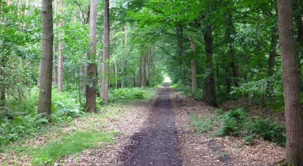 B&B Woodside Torhout Eksteriør bilde
